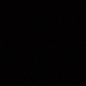 Meet your Posher, Abbie